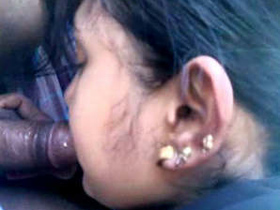 A girl craving sex pleasures her partner with a blowjob