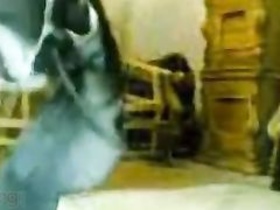 Bhabhi gets down and dirty with her office boss in a steamy video