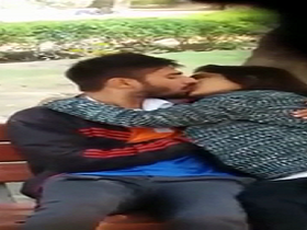 Desi couple's outdoor sex scandal goes viral on the internet