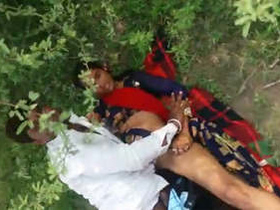 Couple gets caught having sex in public