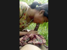 Desi babe gives a blowjob in the field in Campo Novo clip