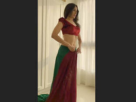 Indian bhabhi in saree: A seductive attraction
