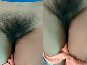 Indian wife reveals her hairy and moist vagina